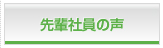 先輩社員の声